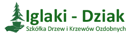 Iglaki Dziak - Szkółka Drzew i Krzewów Ozdobnych